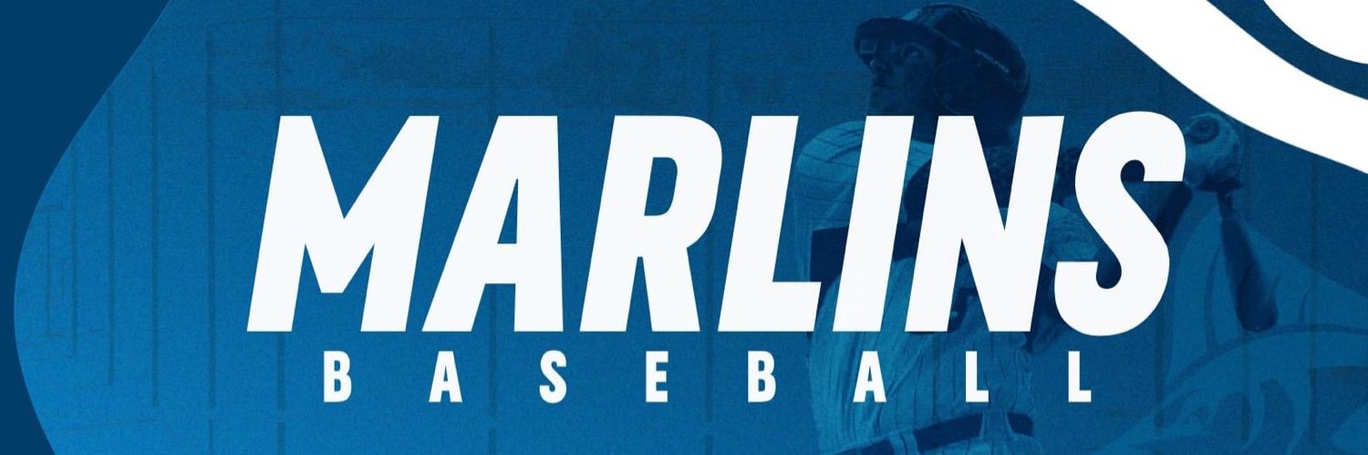 VWU Marlins Baseball banner