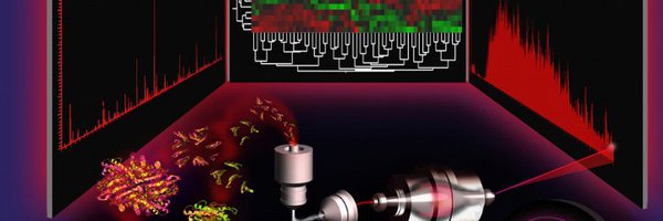 MetaP_Init Profile Banner