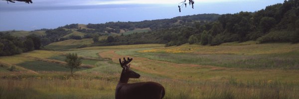 privateantlers Profile Banner