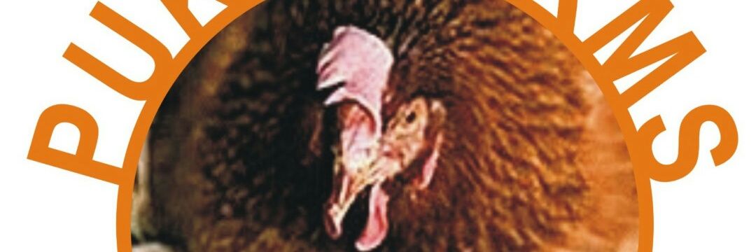 PaulAnokwu's profile banner image