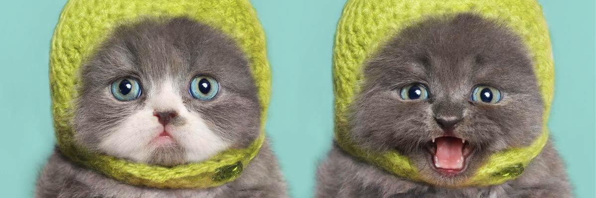 Sa_Se_Sa's profile banner image