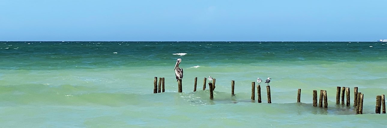 DezdeZero_Photo's profile banner image