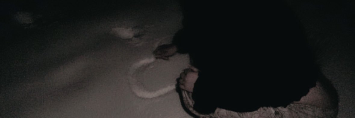 hauntizz's profile banner image