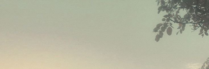 no_ha31's profile banner image