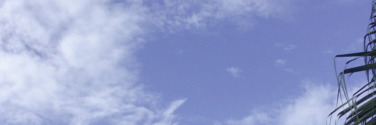 innahamri's profile banner image