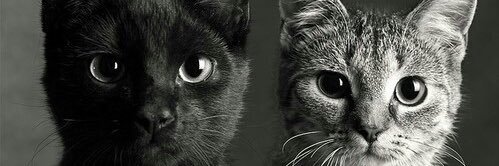 JorisOfficial's profile banner image