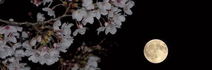 _jessval's profile banner image