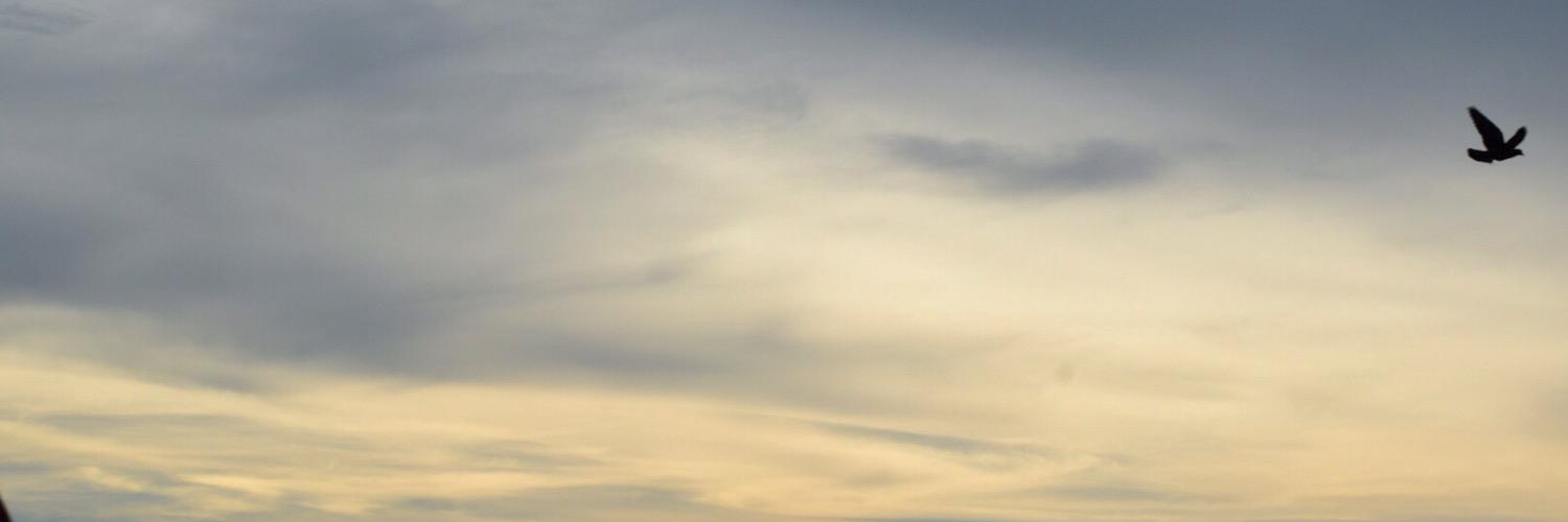 ⟭⟬ 🐭⟬⟭⁷ banner