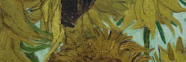 SperoniMattia Profile Banner