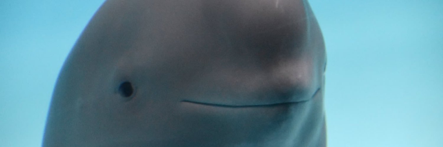 JPJ Defender John Feaster III banner