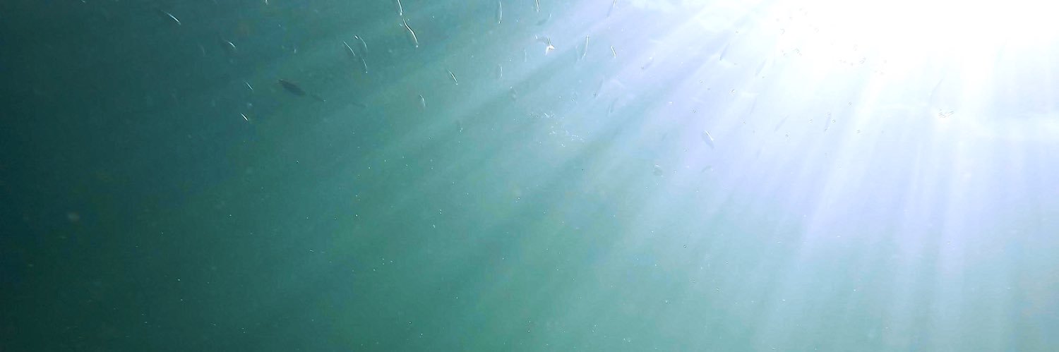 NadaDeCat's profile banner image