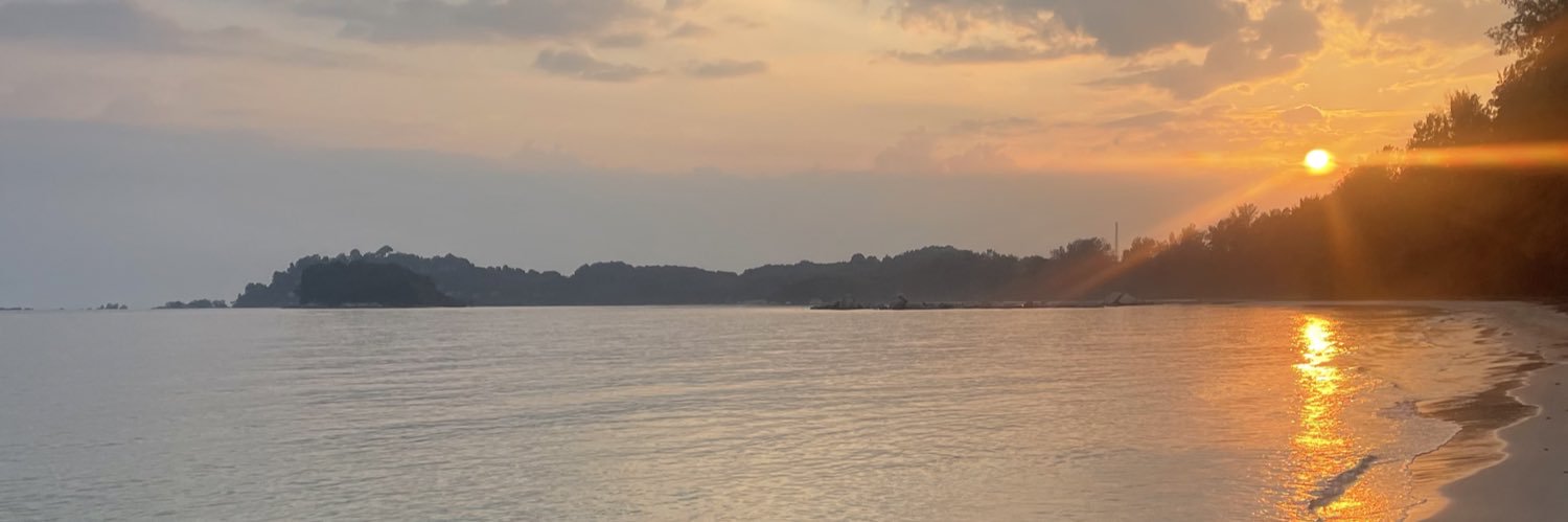 NFTRULES $btc $eth altcoins for fun🚀 banner