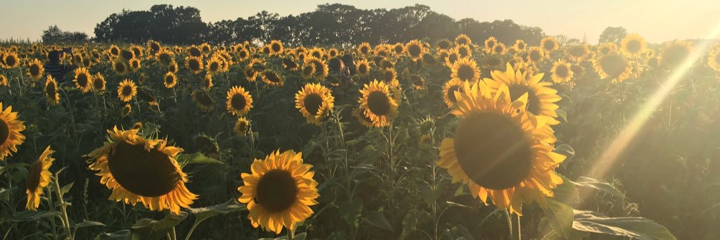 kels_coll's profile banner image