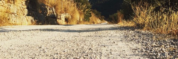 freecreative Profile Banner