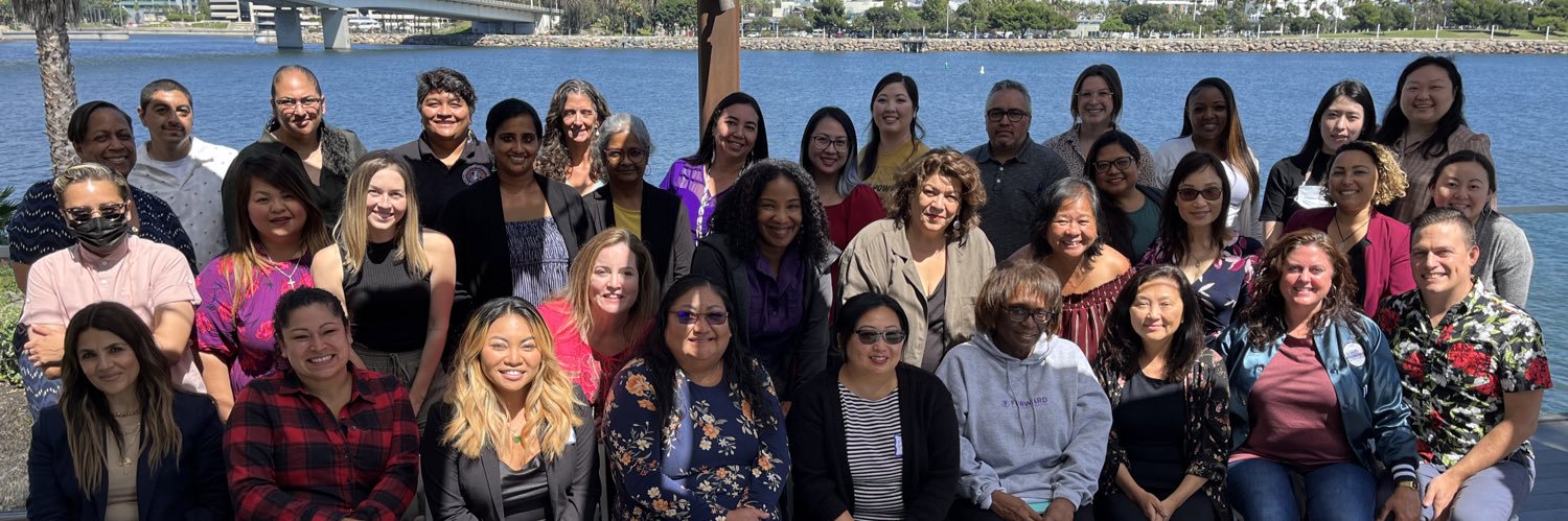 Culturally Responsive Domestic Violence Network banner