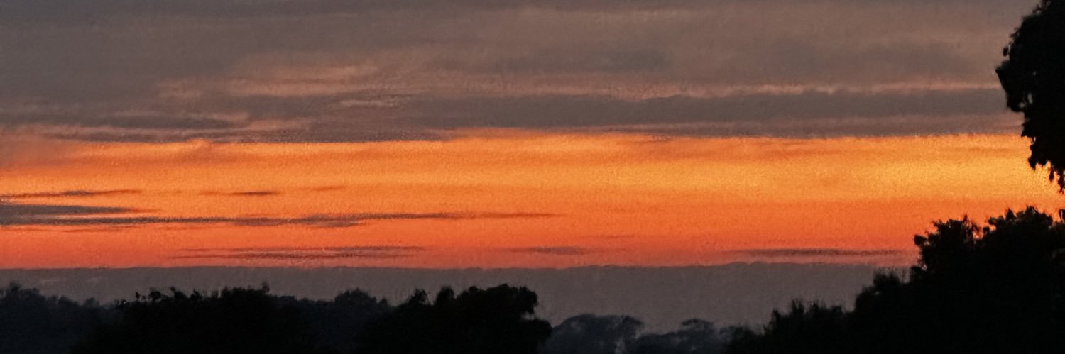 tash58's profile banner image