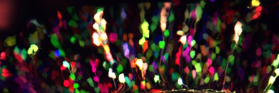 TheMitophile's profile banner image