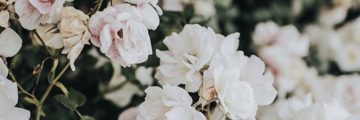 vrutspa's profile banner image
