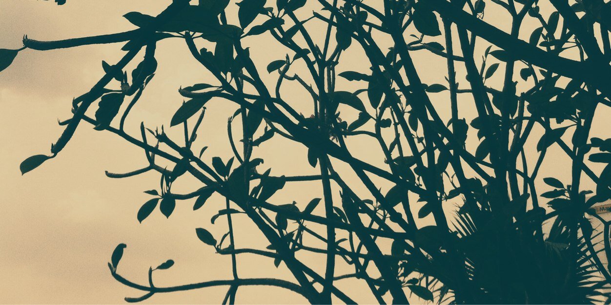 JenniKanerva's profile banner image
