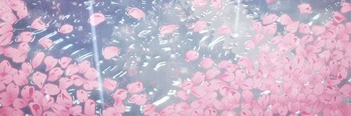 MoleCarmesi's profile banner image
