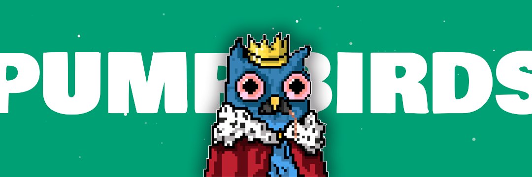 PUMP.BIRDS X SOLANA BEARS banner
