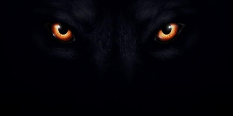 FilipsLV's profile banner image