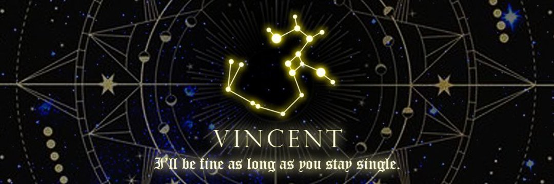𝑽𝒊𝒏𝒄𝒆.𝒏𝒛 banner