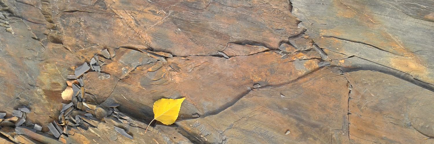 пшеничная вера🤍💙🤍 banner