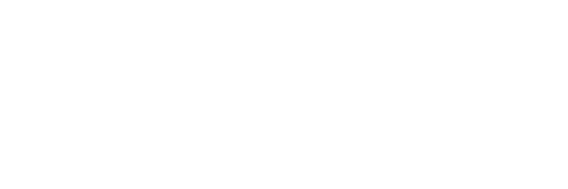 Vox Novus banner
