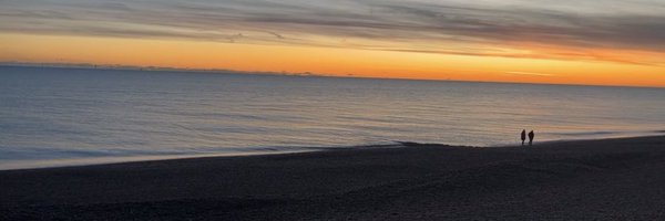 simroII Profile Banner