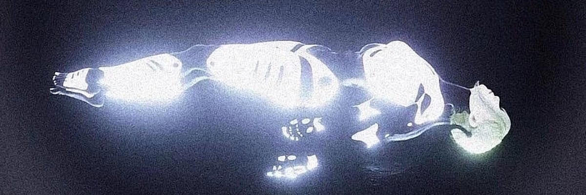 s_erena1's profile banner image