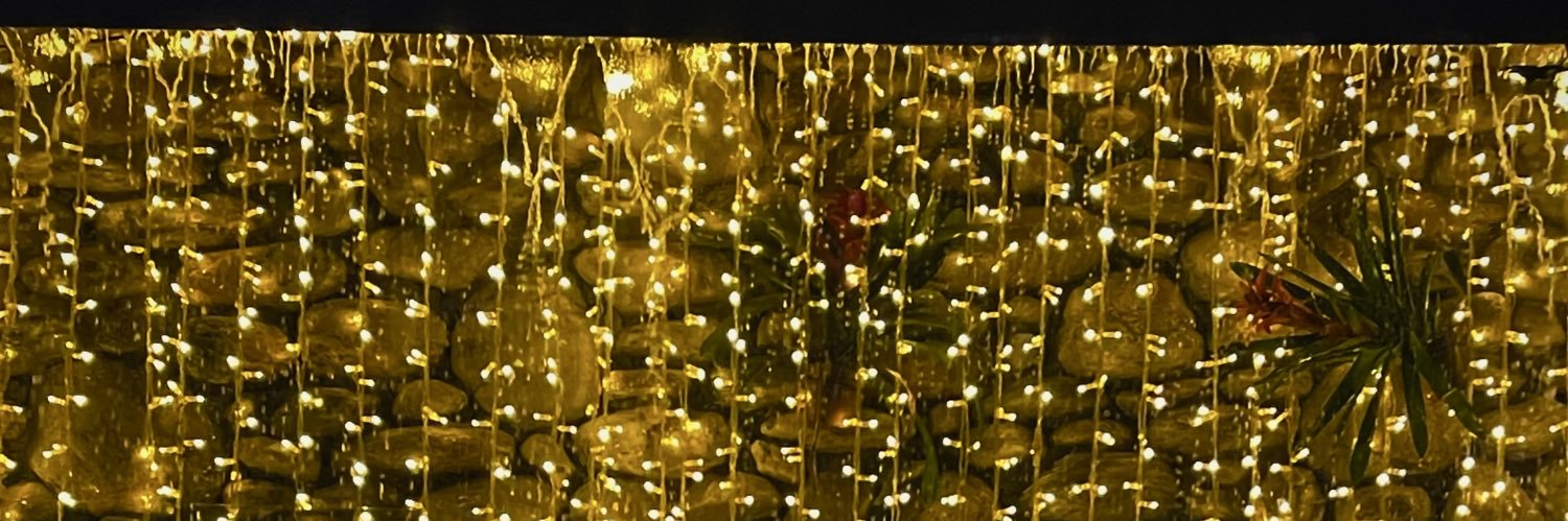 sofsmuniz's profile banner image