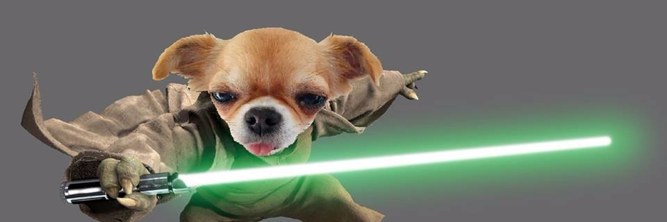 Raczoun's profile banner image