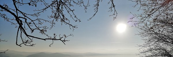 adelapreda Profile Banner