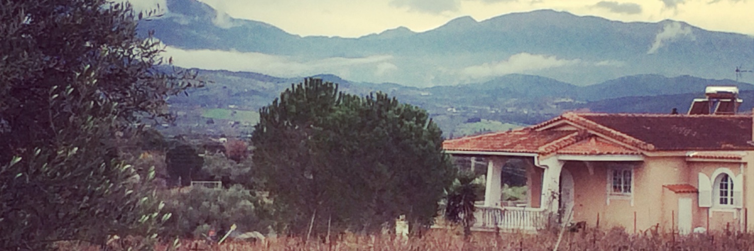 George Demacopoulos banner