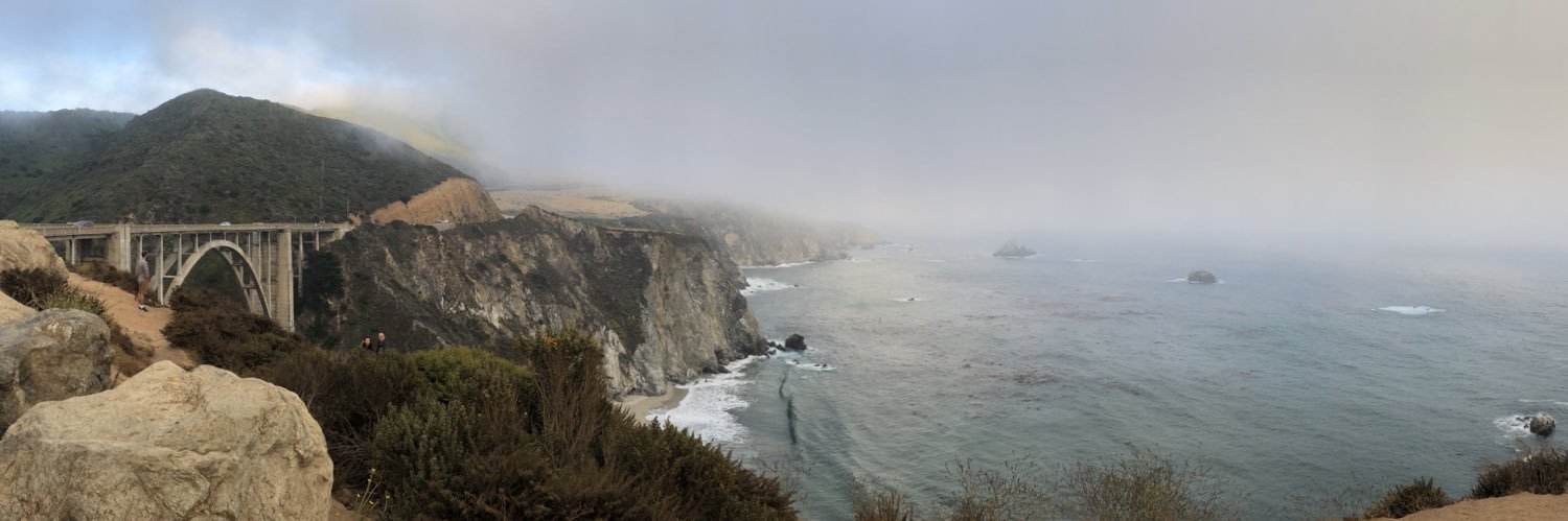 Whitney McAnallen banner