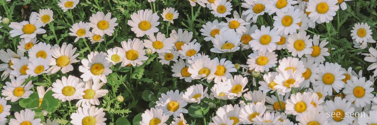 daisyoon29's profile banner image