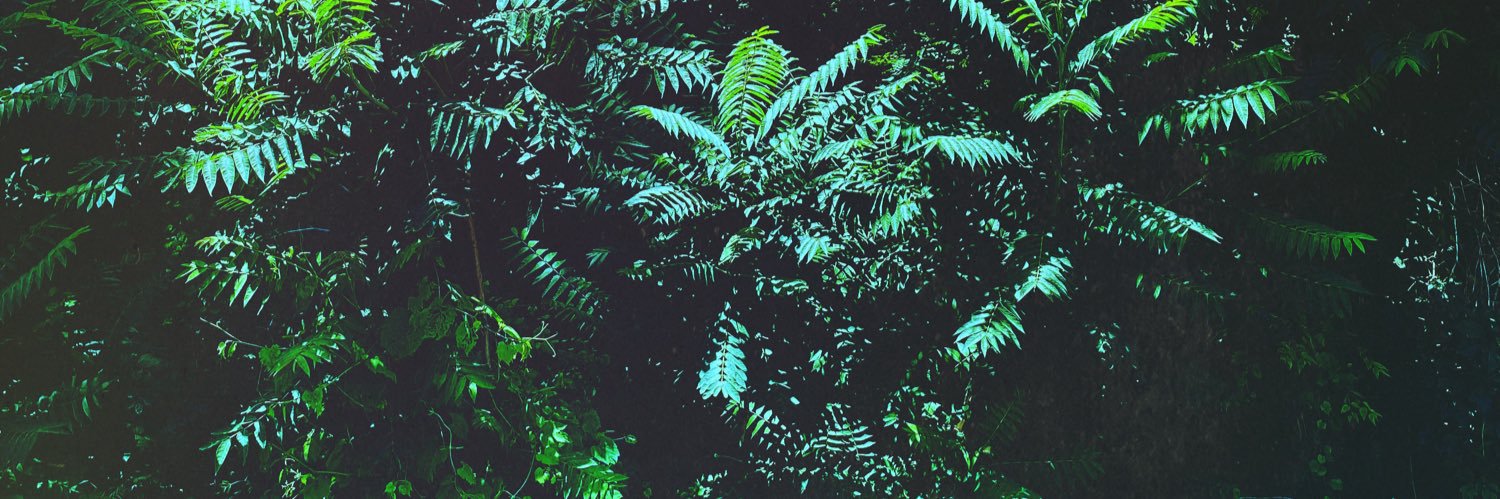 joshfvbe's profile banner image
