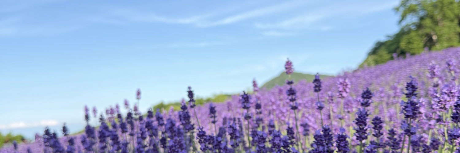 8xa_ss's profile banner image