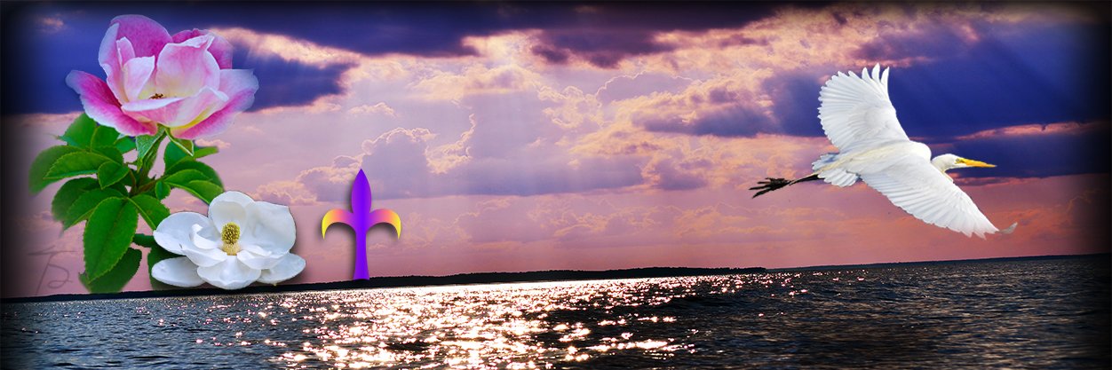Tamstry's profile banner image