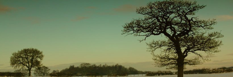 luciacollection's profile banner image
