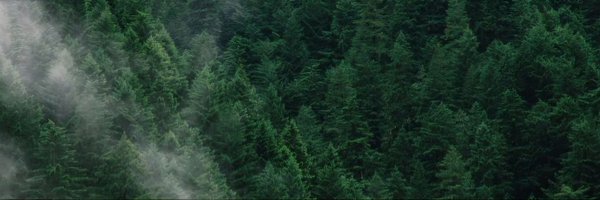 she_reverie Profile Banner