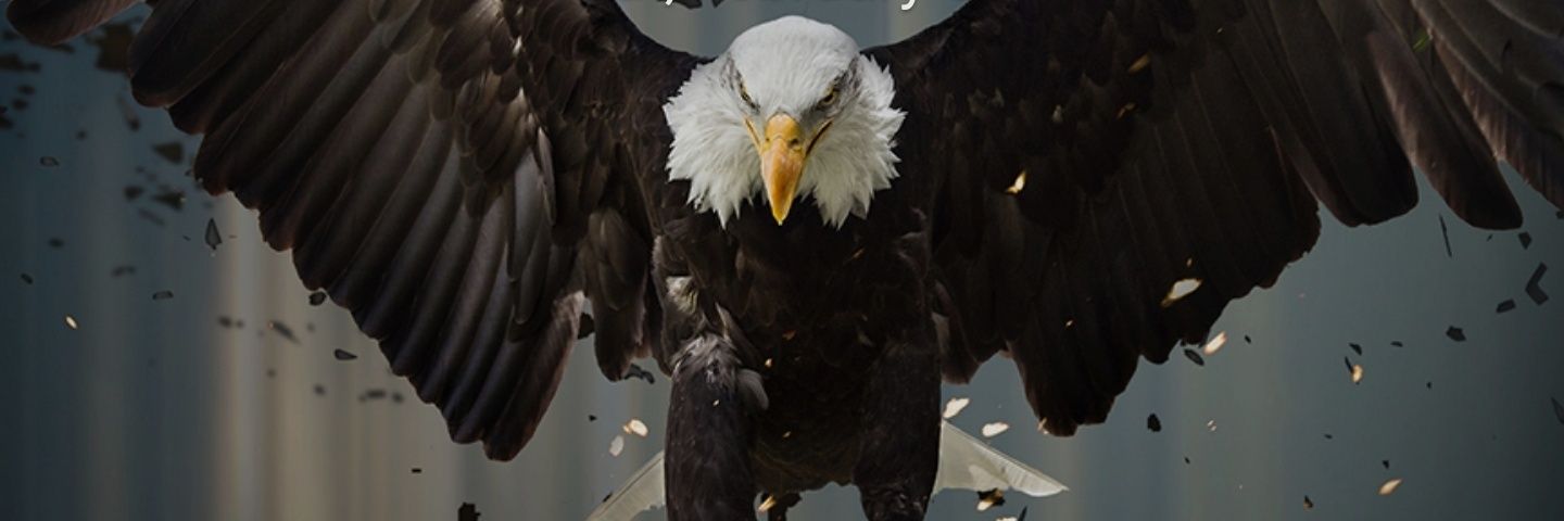 cool_mike banner