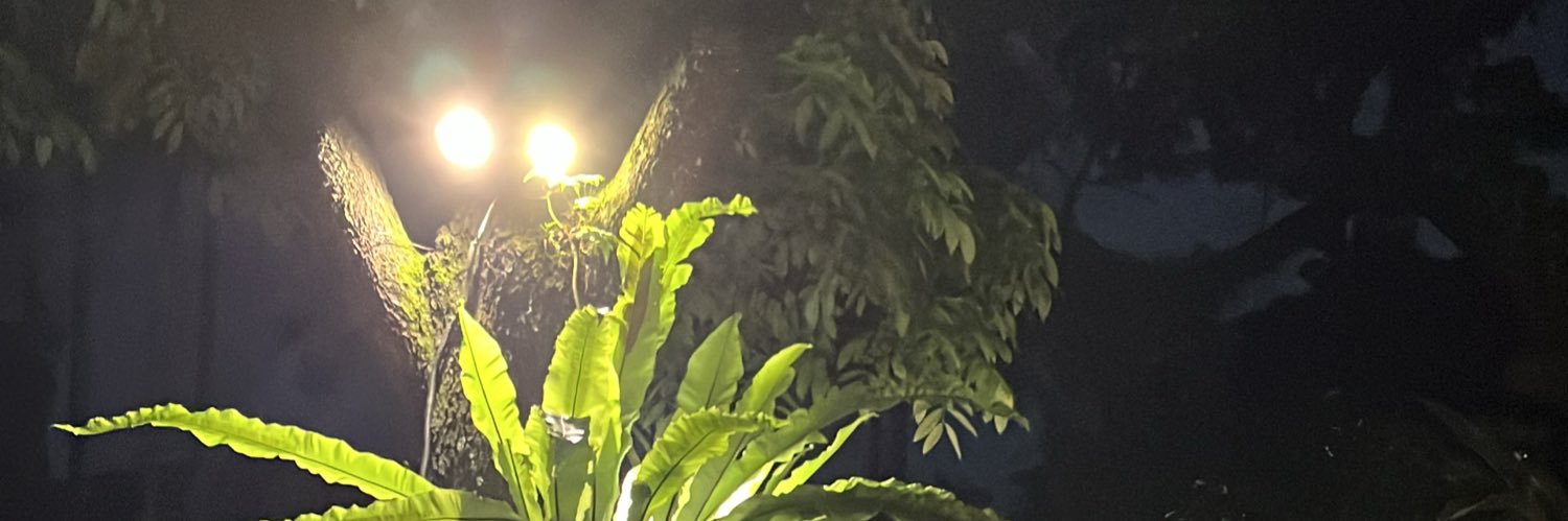 meiyu banner