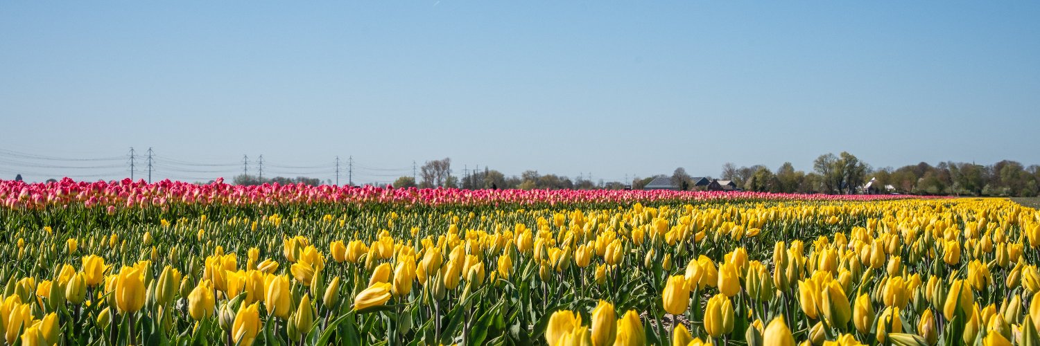 provgroningen's profile banner image