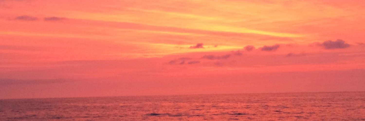 hsuarezt's profile banner image