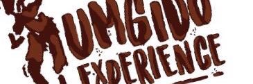 leknoxinc's profile banner image