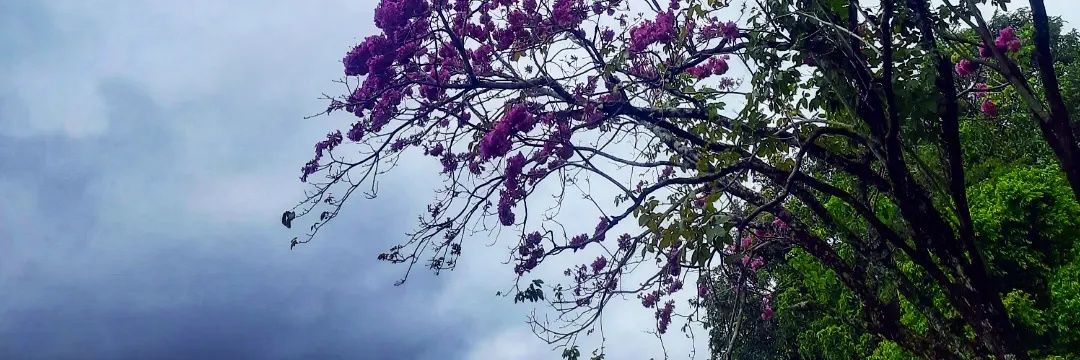 Manoshan_16's profile banner image