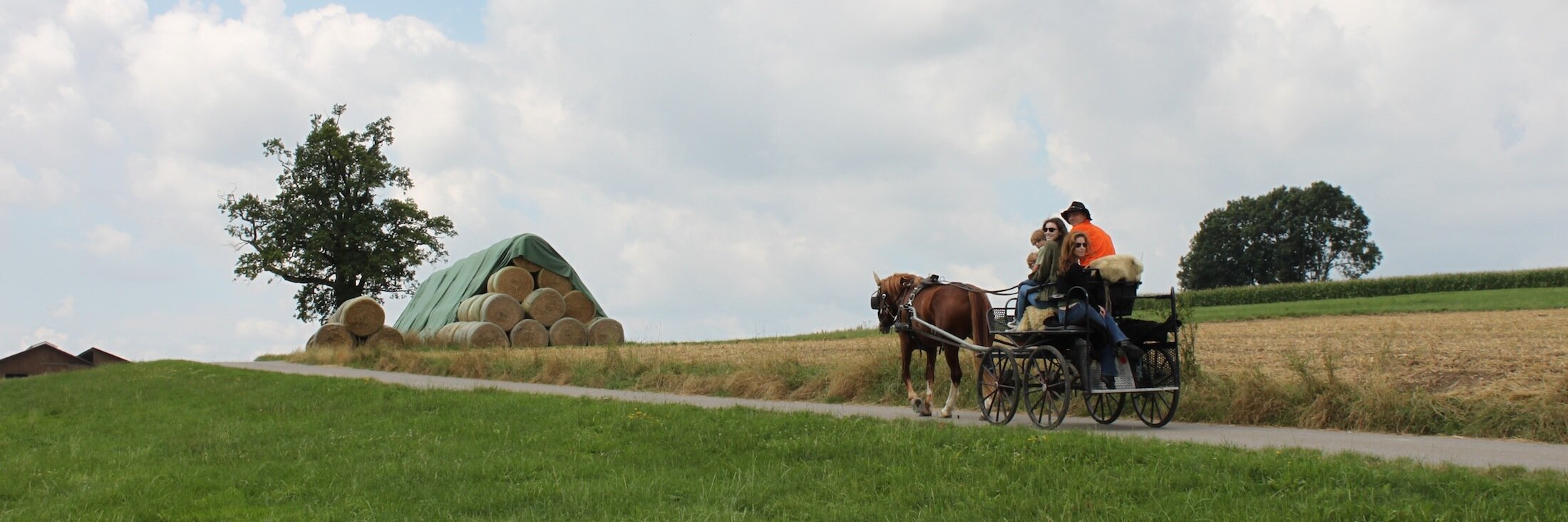 InTheBackhaus's profile banner image