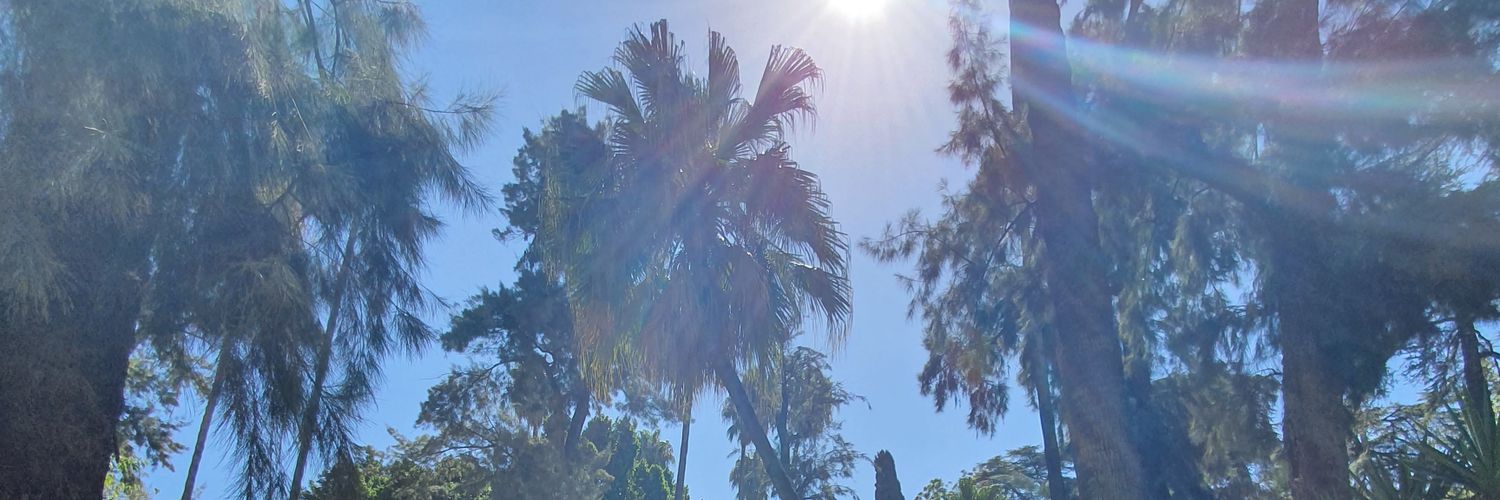 ReachForChris's profile banner image